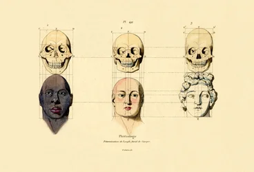Phrenologie